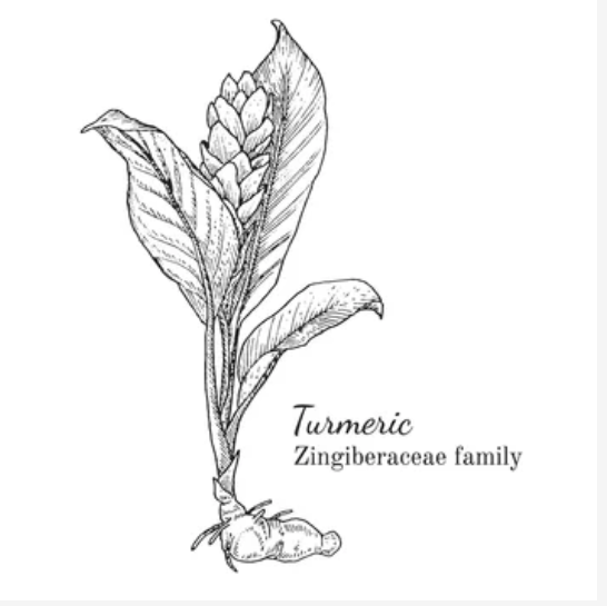 Noble Herb